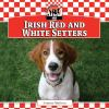 Irish_red_and_white_setters