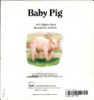 Baby_pig