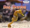 Sea_horses
