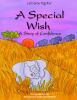 A_special_wish