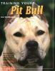 Training_your_pit_bull