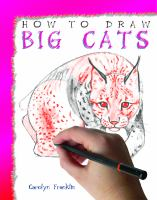 How_to_Draw_Big_cats