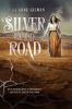 Silver_on_the_road