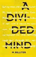 A_Divided_Mind